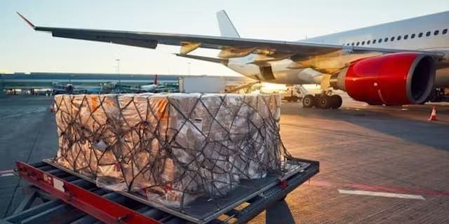 Air freight coordination and cargo handling
